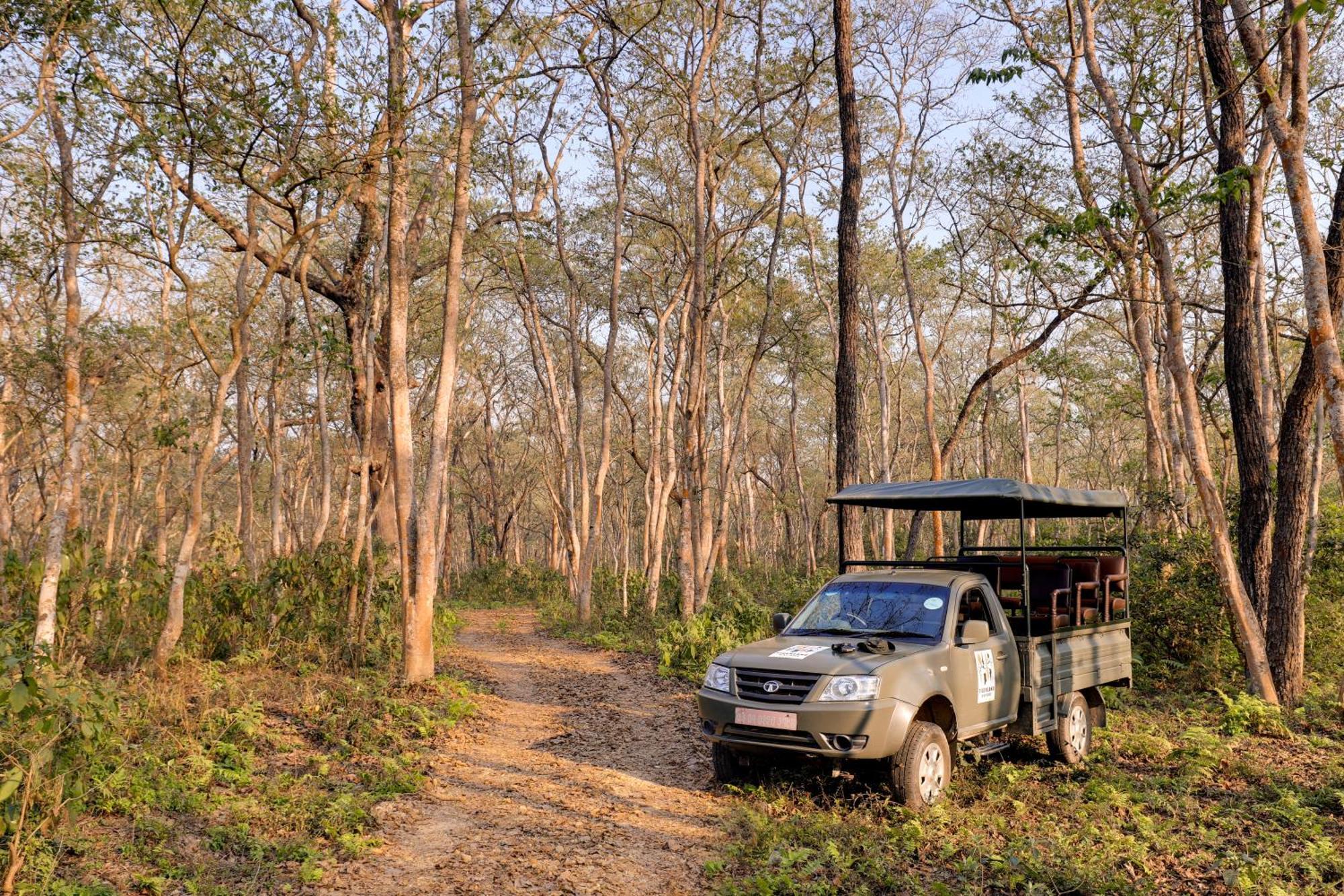 Tigerland Safari - A Lemon Tree Resort, Chitwan, Nepal Patlahara Exterior foto